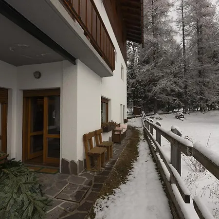 Casa Merisanda, Confortevole E Immersa Nel * Cortina dʼAmpezzo